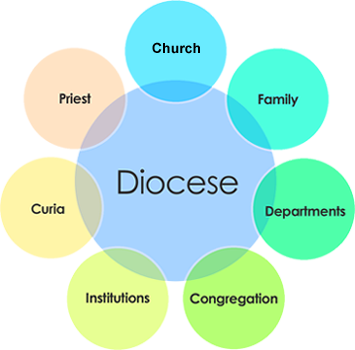 Diocese Parish Networking